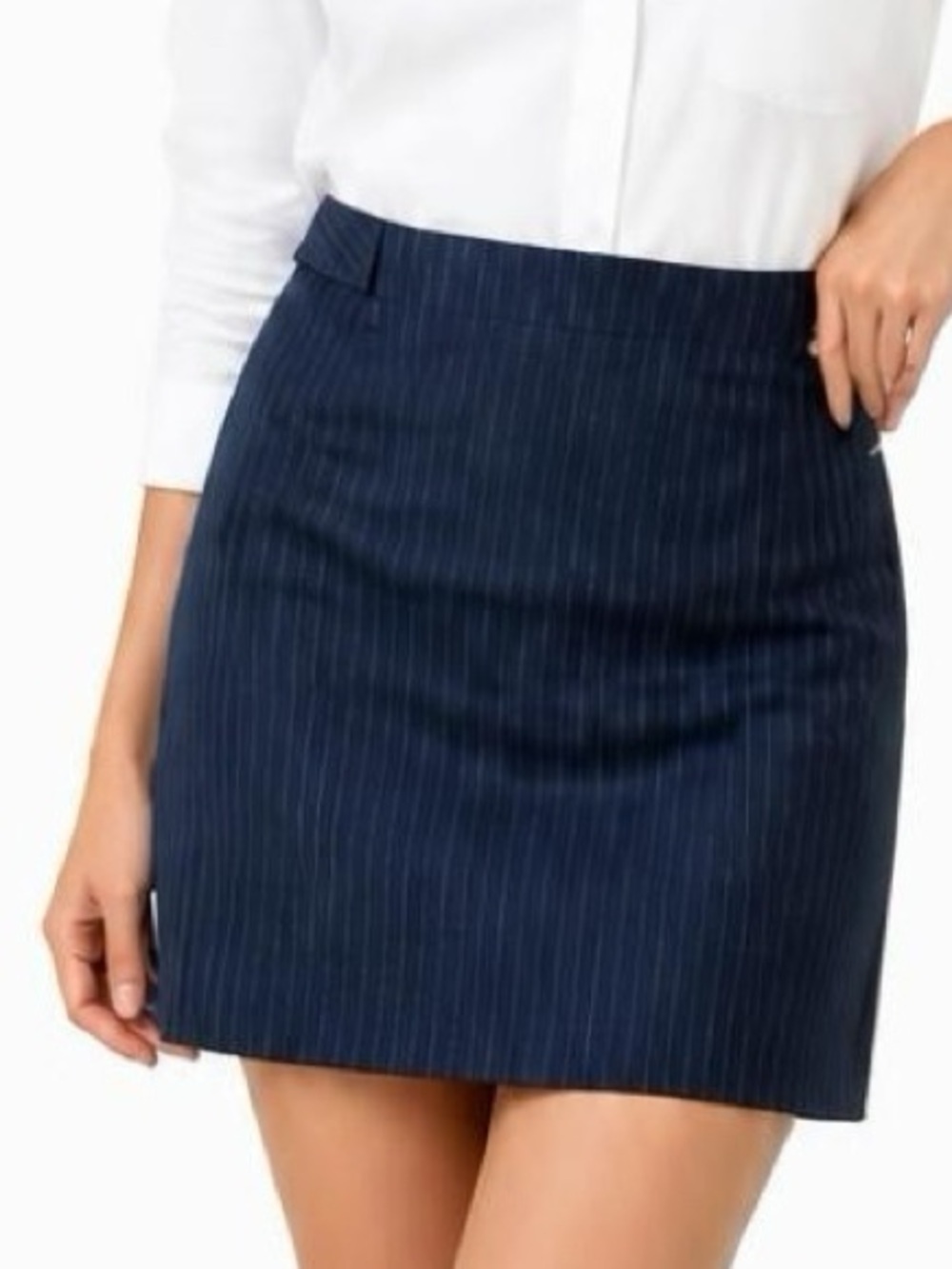 NWT Rafaella 2-Way Stretch Blue Pin-Striped Skirt